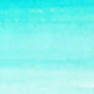 Meet your Posher, Audrey